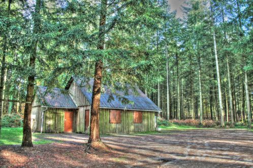 La forêt de Loudéac